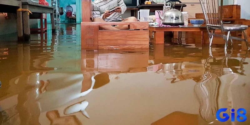 Mơ thấy nước chảy vào nhà là dấu hiệu của sự xâm nhập của những cảm xúc hoặc vấn đề không mong muốn