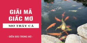 Mơ thấy cá đánh lô đề con gì tài lộc từ giấc mơ cá 2025