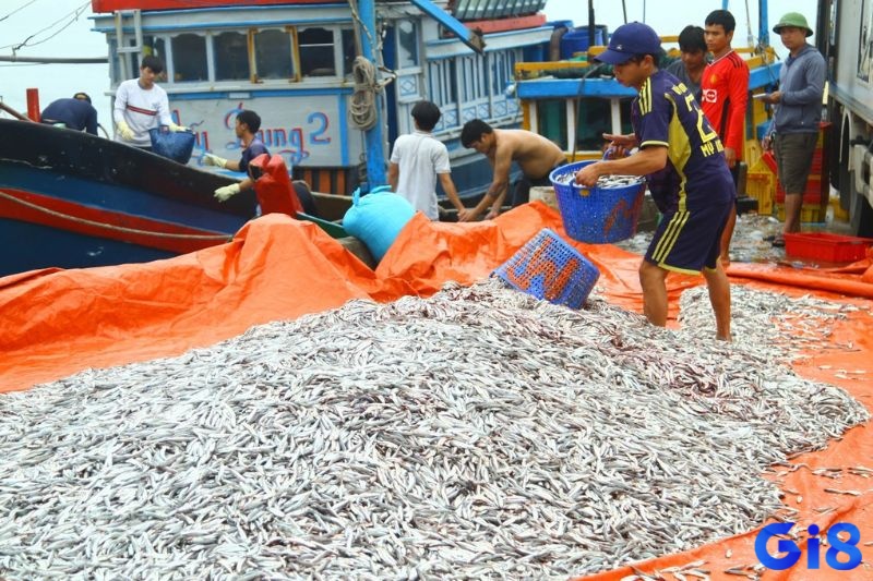 Chiêm bao bắt được nhiều cá lớn ngụ ý về sự may mắn 