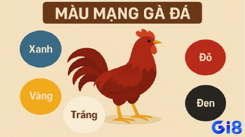 Màu vàng kim biểu tượng cho sự ổn định, sang trọng và khả năng thi đấu lâu bền