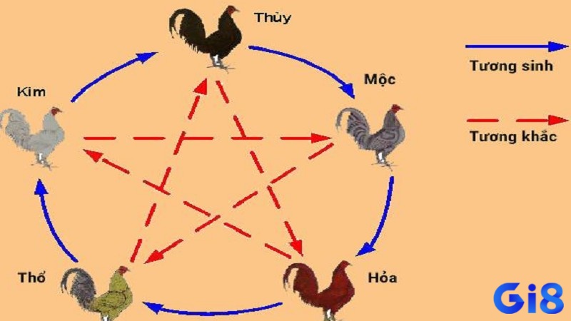 Di truyền, dinh dưỡng và môi trường cùng định hình màu mạng chuẩn của chiến kê