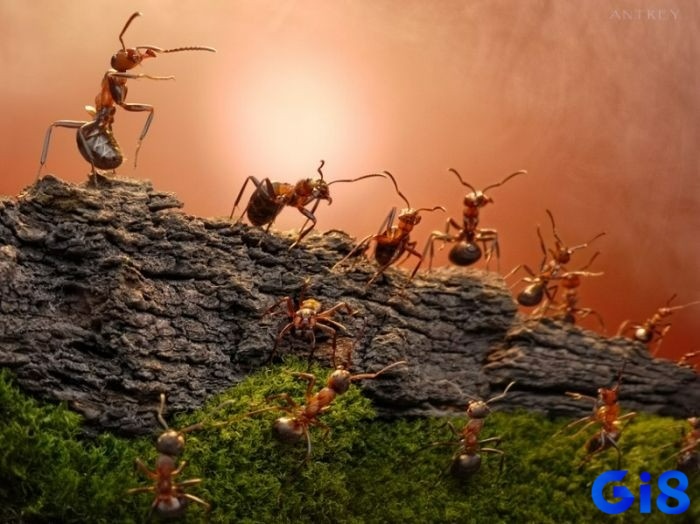 Chơi lô đề theo mơ cần kiểm soát ngân sách để không ảnh hưởng đến cuộc sống