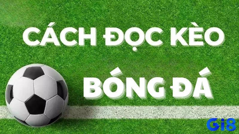 Kèo chính và tỷ lệ cược – hai yếu tố cốt lõi trong cách đọc kèo bóng đá tài xỉu.