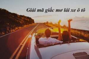 Giải mã giấc mơ thấy lái xe ô tô, mơ lái xe ô to đánh con gì?