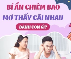 Nằm mơ thấy cãi nhau đánh số mấy? Là may mắn hay xui rủi?
